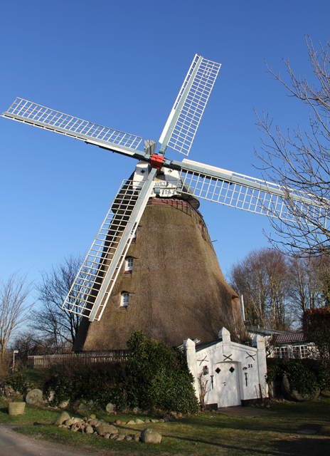 Reetgedeckte Windmühle in Strukum