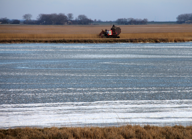 Schlüttsiel, Rietgrass mähen am gefrorenen See